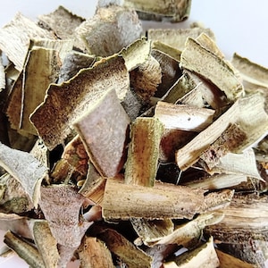 Aspen bark Natural dried Ecological product Season 2025 Populus Tremula Organic Aspen Tree barks 2oz - 7oz