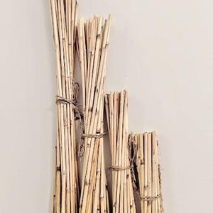 Puede incluir: Paquetes de palos de bambú naturales, secos, de color marrón claro, de diferentes longitudes, atados con cuerda.