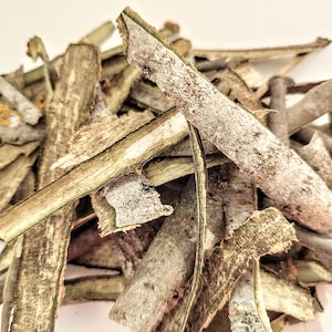 Aspen bark Natural dried product Season 2025 Populus Tremula Organic Aspen Tree barks 2oz - 10oz