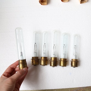 Puede incluir: Seis bombillas tubulares vintage con bases de latón. Una bombilla es sostenida. Las bombillas tienen un tubo de vidrio transparente con un filamento en su interior. Las bombillas están dispuestas sobre una superficie blanca.