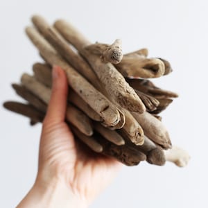 Baltic Sea Driftwood Sticks (20pc): DIY Art & Decor Supplies