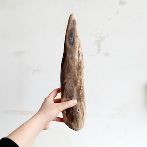 Könnte beinhalten: Ein verwittertes, längliches Stück Treibholz, vor einem weißen Hintergrund gehalten. Das Holz hat eine Mischung aus Brauntönen mit sichtbarer Maserung und einem leicht spitz zulaufenden Ende. Das Naturholz hat eine raue Textur und zeigt Altersspuren.