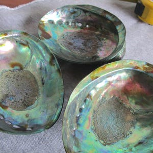Polished Abalone Shells: Vintage Serving Dishes or Coastal Decor (Lot of 3)