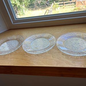 May include: Three clear glass plates with a raised floral design. The plates are arranged in a row on a wooden surface.