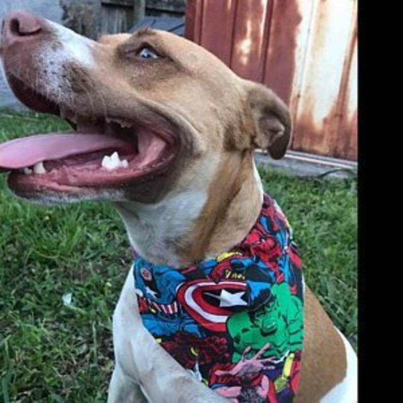 toy story dog bandana