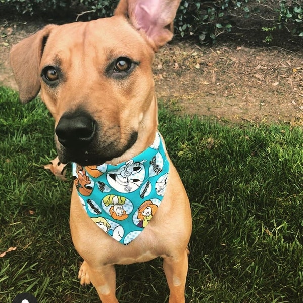 Scooby Doo Reversible Over the Collar Dog or Cat Bandana, Slide On, Pet Scarf