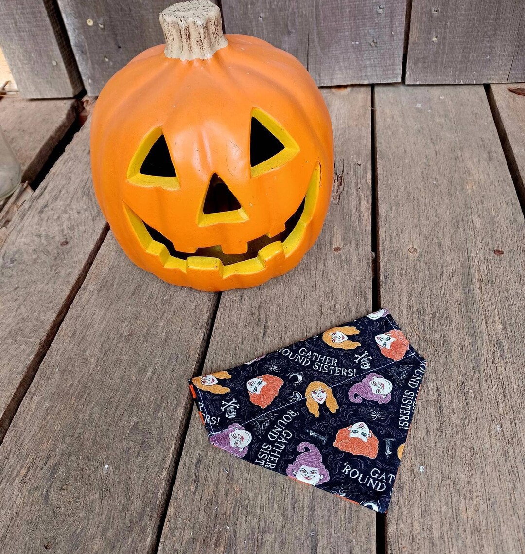 Hocus Pocus Inspired Dog or Cat Over-the-collar Reversible - Etsy