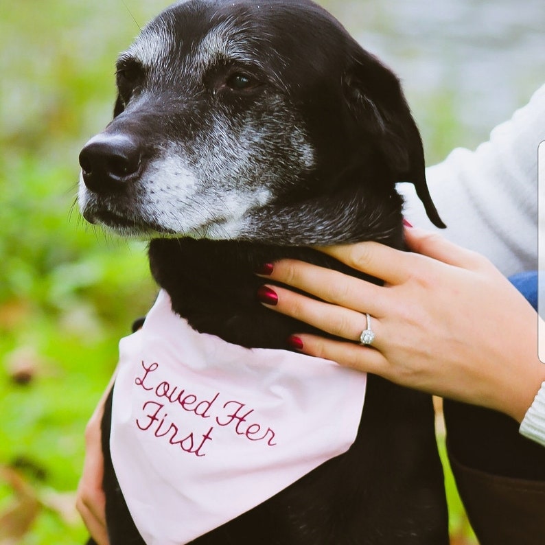Wedding Dog Bandana Slide on Bandana Monogrammed Dog Etsy