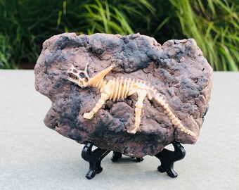 Gifts for fossil lovers shop