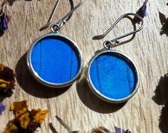 Butterfly Wing Sterling Silver Round Statement Earrings | Blue Morpho | Unique jewelry | Ethically sourced | Sustainable | Gift for her