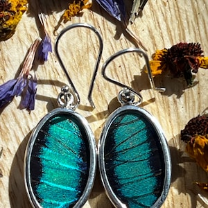 Butterfly Wing Sterling Silver Statement Earrings |  | Unique jewelry | Ethically sourced | Sustainable | Gift for her