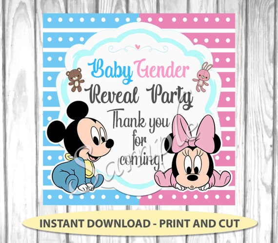 mickey and minnie baby shower