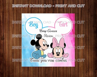 Mickey and Minnie Gender Reveal baby shower, Mickey and Minnie baby shower tags, baby gender reveal party, Gender reveal shower