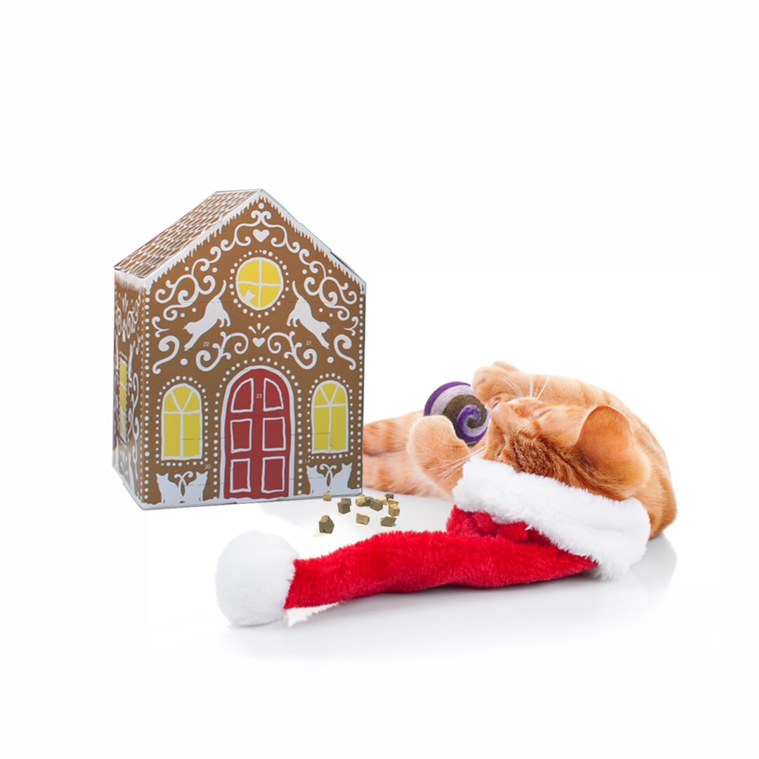 Cat Treat Advent Calendar Etsy Canada