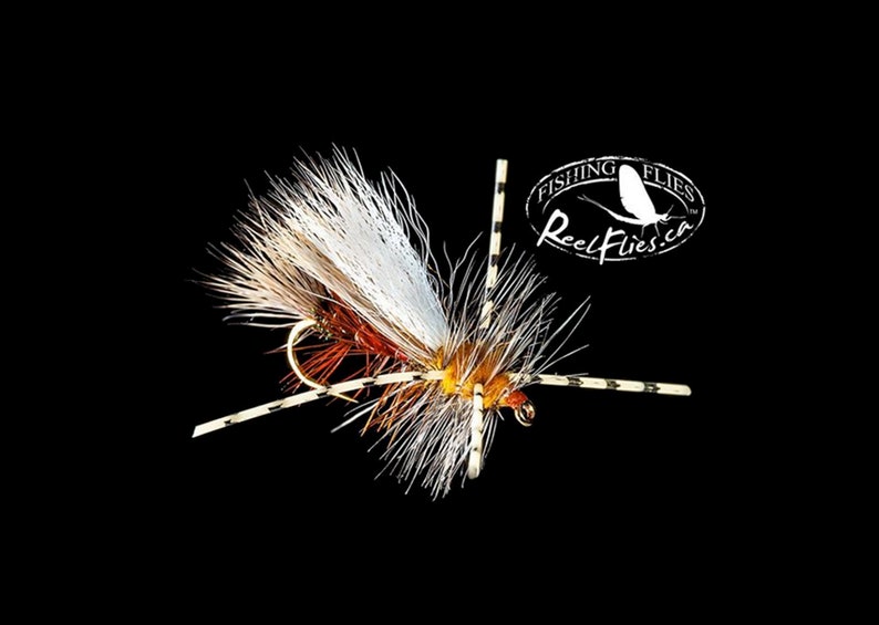 Fly Fisherman