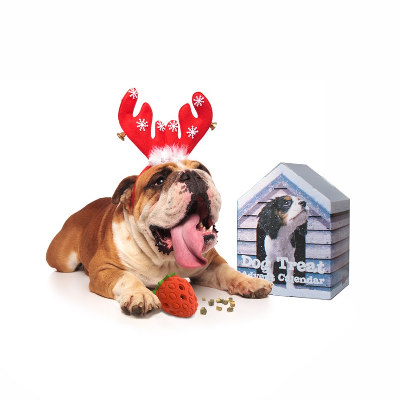 Dog Treat Advent Calendar 