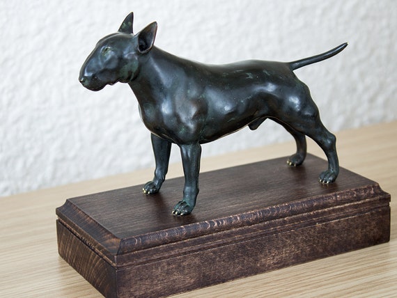 black english bull terrier