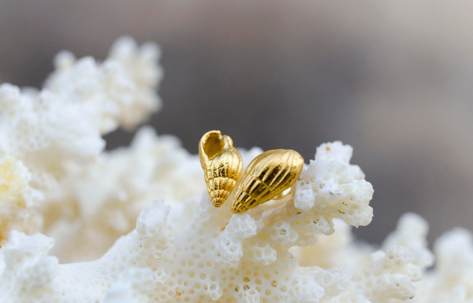 Blue - Handcrafted Seashell Stud Earrings