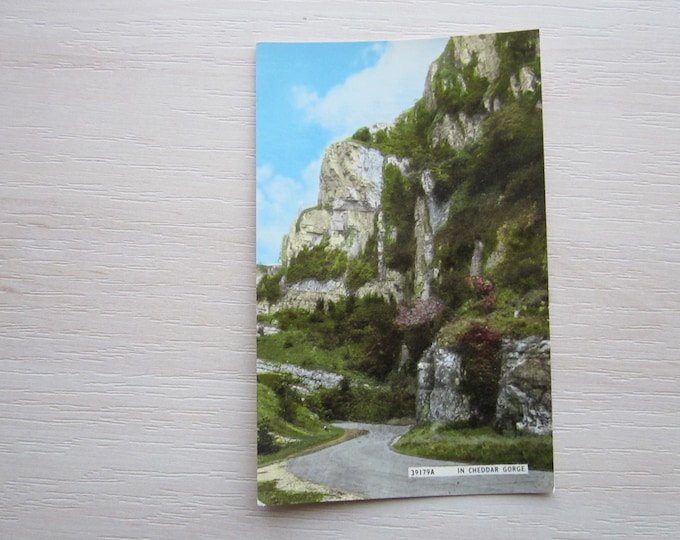 Postcard, In Cheddar Grove, Somerset,England. REAL PHOTO POSTCARD. Genuine, Original, Unused.