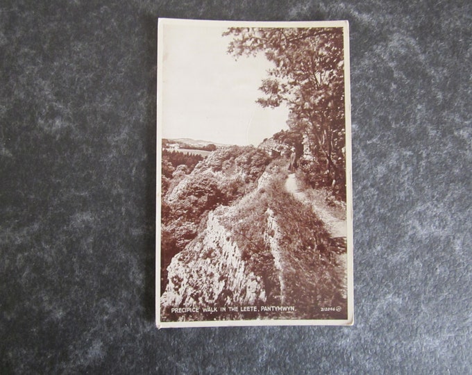 Real Photo (RPPC) Postcard, Precipice Walk In The Leete, Pantymwyn, Wales. UK. Ideal Christmas Gift, Mother's Day Gift, Birthday Present