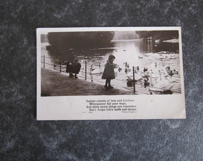 Real Photo (RPPC) Postcard, Child Feeding Ducks/Swans. Ideal Christmas Gift, Mother's Day Gift, Birthday Present For Loved One