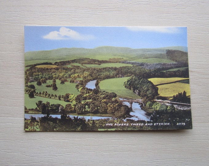Vintage Postcard, The Rivers Tweed And Ettrick, Nr. Selkirk, Scotland, UK. Genuine, Original, Unused.