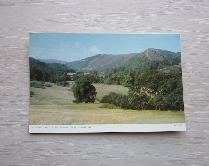 Vintage REAL PHOTO Postcard, "Grabbist" And Distant, Dunkery, Dunster Park, Somerset, UK. Genuine, Original.