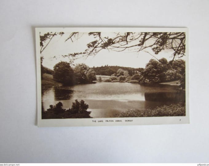 The Lake, Milton Abbas, Dorset, England, Uk. REAL PHOTO Postcard (RPPC), Unused, Original