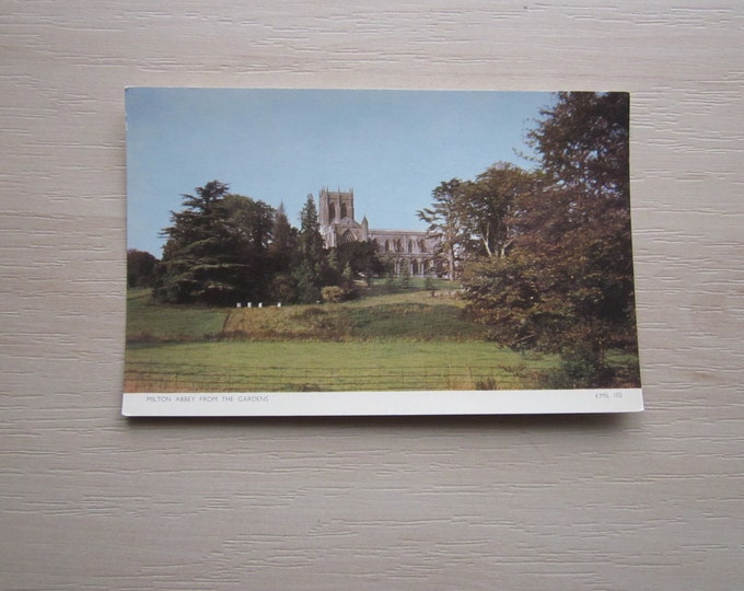 Postcard, Milton Abbey From The Gardens, Dorset, UK. REAL Photo Postcard (RPPC). Genuine, Original, Unused.