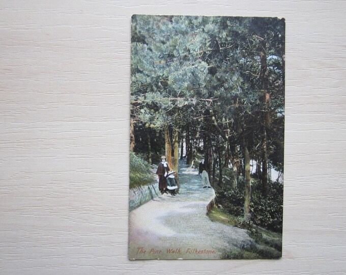 Postcard. The Pine Walk, Folkestone, UK. Original, Used. Ideal Christmas Gift, Birthday Present, Mother's Day Gift For Loved One.