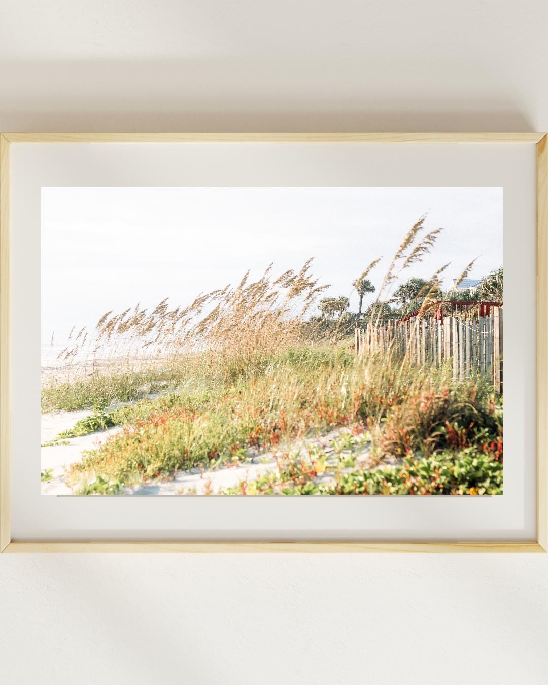 Sea Oats Photography Print | Coastal Wall Art | Sea Oats Wall Art ...