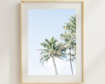 Florida Palm Tree Photography Print: Coastal Beach Decor