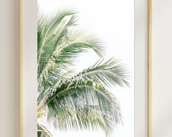 Florida Palm Tree Photography Print | Coastal Beach Decor | Coastal Wall Art | Palm Tree Wall Art | Florida Photography | Beach Photography