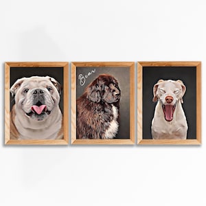 Cartoon huisdierportret, aangepast huisdier herdenkingscadeau, hondenportret van foto, huisdier verlies cadeau, hond gedenkteken drie huisdier, familie portret meerdere huisdieren