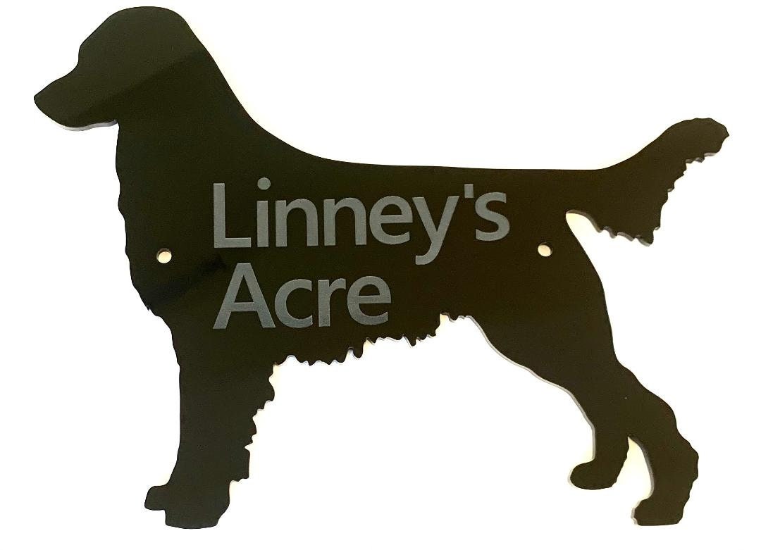 What Size Dog Door Do I Need For A Golden Retriever