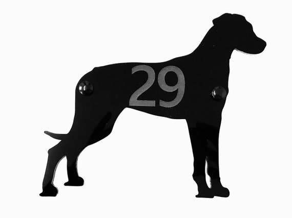 Black Ridgeback Dog