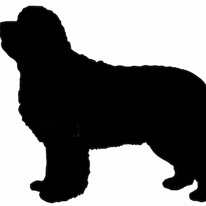 Neufundländer Hundehütte Kunst Wandschild Schild In Schwarz Acryl