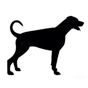 Imán para nevera de perro dóberman con cola en acrílico negro