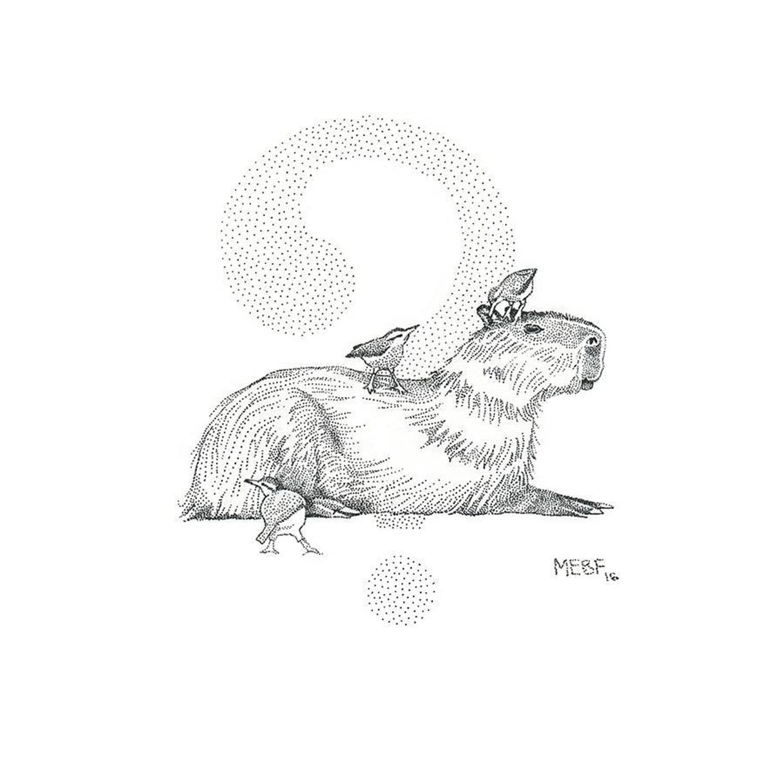 Капибара схема вышивки