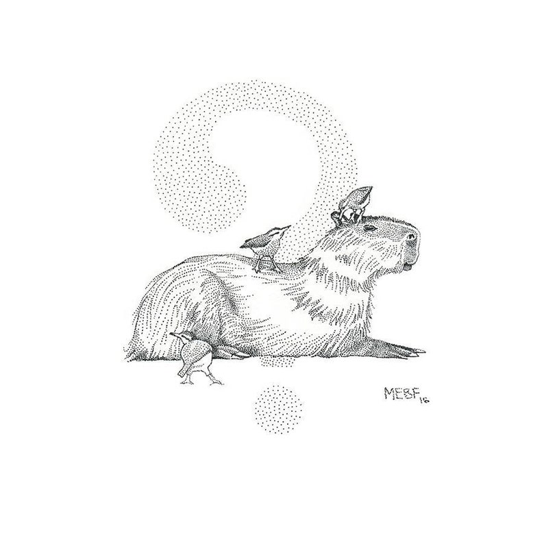 Капибара тату эскиз