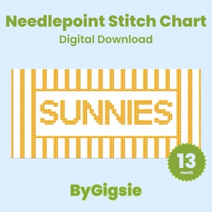 Sunnies Sunglasses Case Stripes Digital Needlepoint Chart | PDF Download | 13 mesh