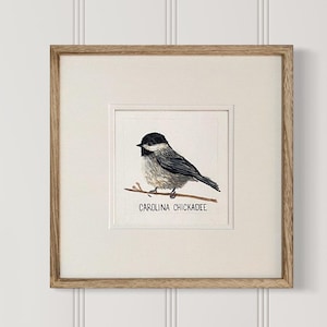 Carolina Chickadee square giclee print