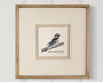 Downy Woodpecker square giclee print
