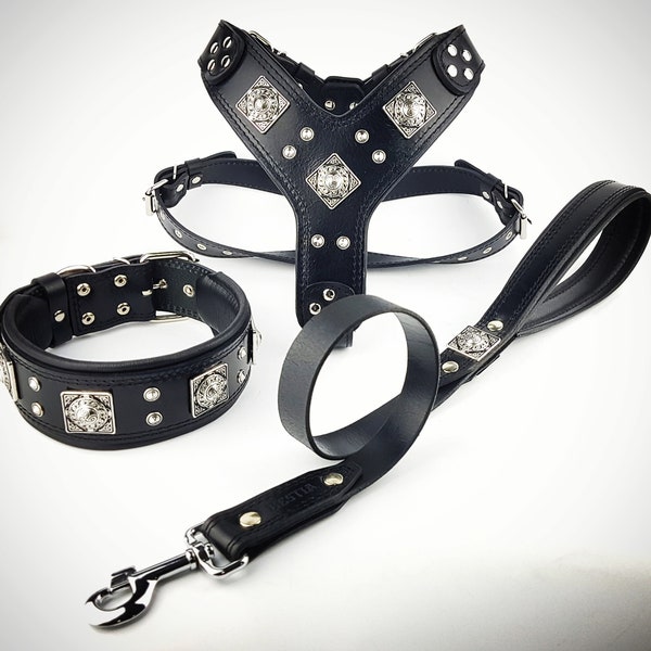 Bestia™ all black "EROS" BIG dog SET- Harness - collar - lead. Soft padded. old silver rivets. Unique design and quality!