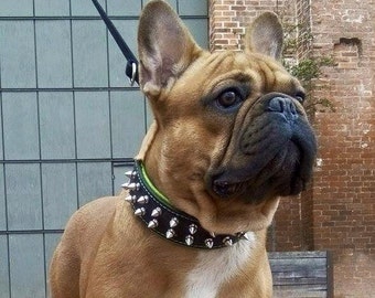 El collar Bestia ™ original "Frenchie". 100% cuero auténtico. Atornillar puntas. Diseño de Bulldog Francés. Hecho a mano!