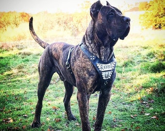 Bestia™ &quot;Metal&quot; PERSONALIZED leather dog harness. Engraved on stainless steel. Your design! Soft padded on the chest plate. Top quality!