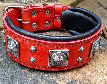 Cane Corso Collar Etsy