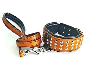 Cane Corso Collar Etsy