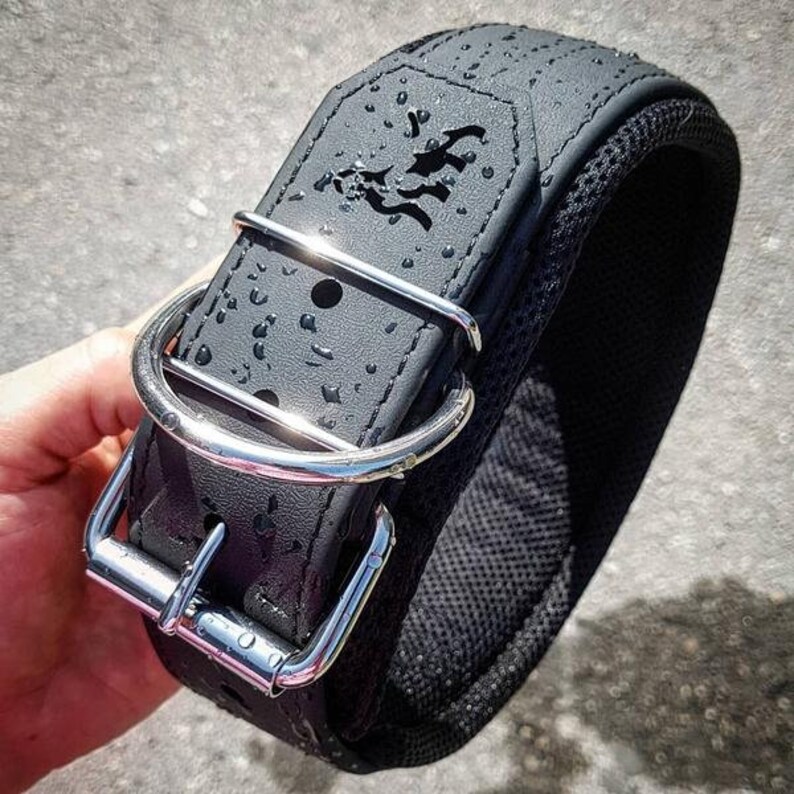 Puede incluir: Collar de perro negro con una hebilla plateada y un anillo en D plateado. El collar tiene una superficie texturizada y un forro de malla negra.