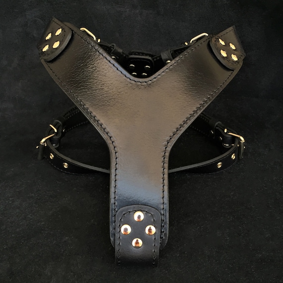 Bestia the ''style'' Harness BLACK